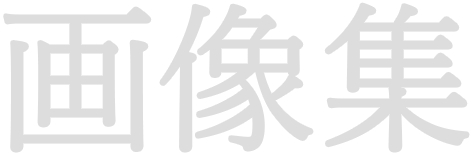 画像集